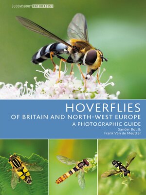 cover image of Hoverflies of Britain and North-west Europe